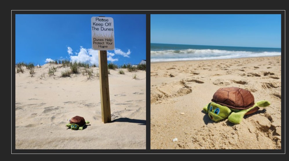 MdPyramid's tweet photo. Tucker Turtle visited Ocean City to share The Pyramid Model &amp; IECMHC resources with MD childcare providers! The Conference by the Sea was a great opportunity for professional development, networking, and relationship building! #TuckerTurtleAdventures #PyramidModel #IECMHC https://t.co/v3xQ8sWBJX