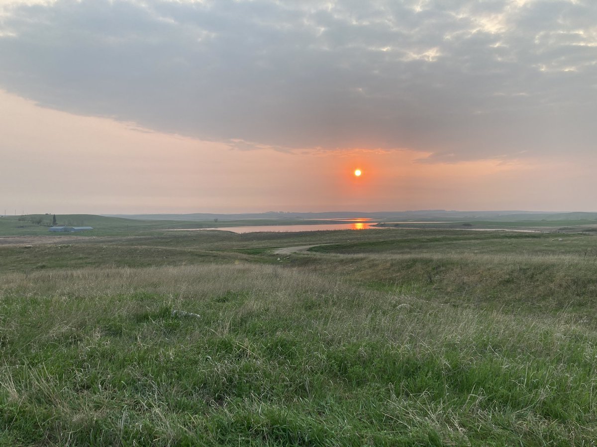 mahlering's tweet photo. Spent some time in the field recently with @TjLinder and his crew. Got to be an ornithologist again for a day. Weather was great but the smoke was terrible. Have a great summer and good luck nest searching! @Nature_MN @FelegeLab https://t.co/Jg8HvdETuP