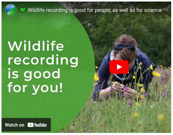 Biodiversity Information Service (BIS) (@BISBrecon1) on Twitter photo 2023-05-22 09:12:00 May's BIS Biodiversity Bulletin has opportunities to get involved in wildlife identification & recording, which is good for you and for science! Find out more mailchi.mp/add4da9bf757/b⦠@BBNatureRecover @MontWildlife @rwtwales @WTSWWBrecknock May's BIS Biodiversity Bulletin has opportunities to get involved in wildlife identification & recording, which is good for you and for science! Find out more mailchi.mp/add4da9bf757/b⦠@BBNatureRecover @MontWildlife @rwtwales @WTSWWBrecknock
