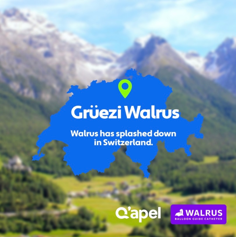 q_apel's tweet photo. Walrus has splashed down in Switzerland! 
#BGC #WalrusisMakingWaves https://t.co/OKoI74NIKw