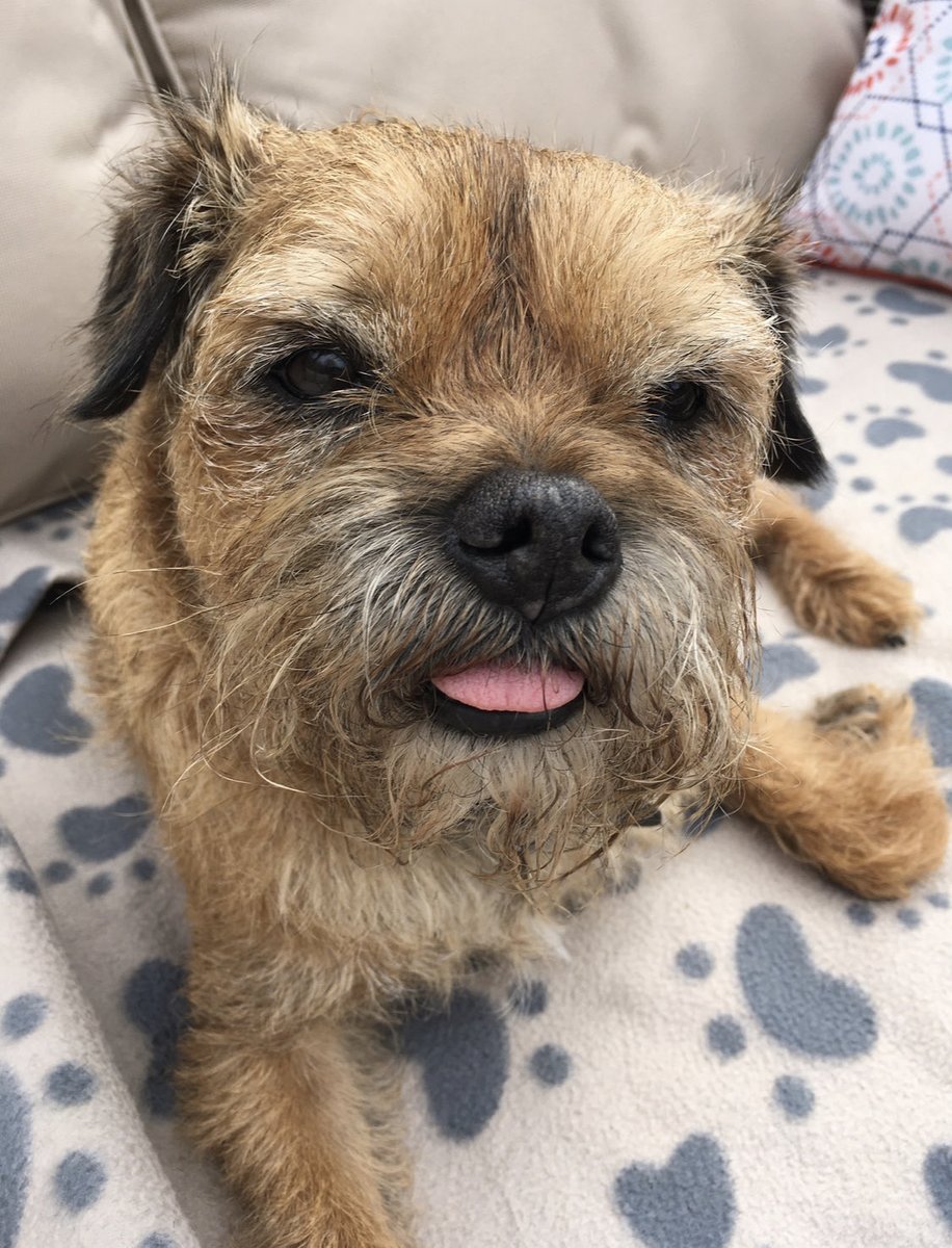 Woody 🐾🌈 tweet media