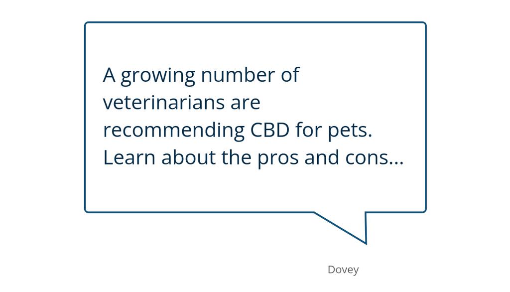 CBD for dog seizures and hyperactive behavior is being tried by many pet owners. Perhaps your pet would also benefit? Learn more!

Read more 👉 lttr.ai/AB3rX

#petcbd #cbd #cbdforpets #cbdfordogs #cbdforcats #DoveyPremiumCbd