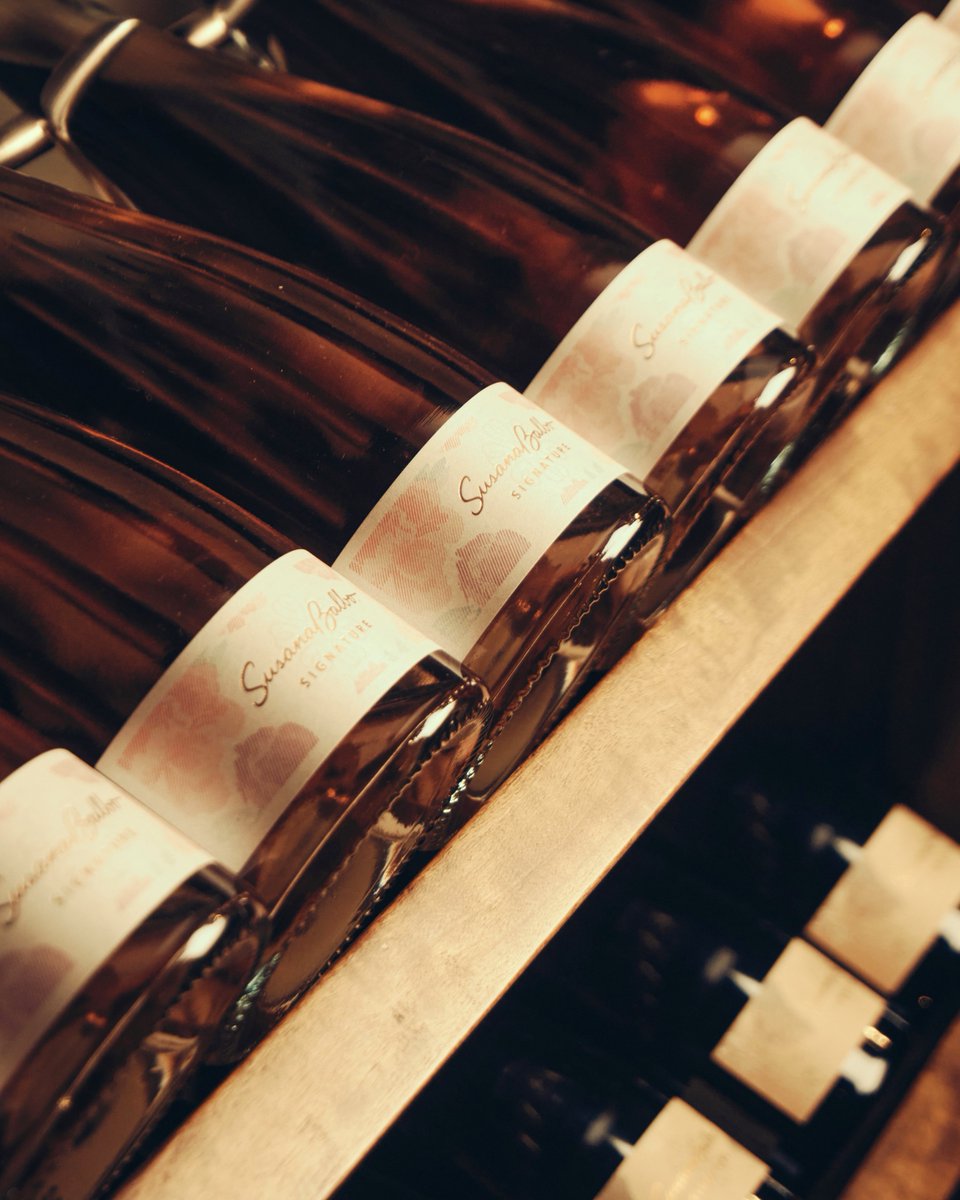 📸 Les compartimos algunas postales de nuestra cava, un lugar muy especial que, además de albergar a nuestros vinos más icónicos, cobija un sinfín de historias, anécdotas y vivencias.