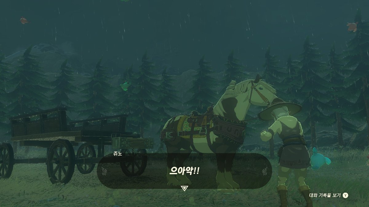 enviru_'s tweet image. #젤다의전설티어스오브더킹덤 #TearsOfTheKingdom #Zelda #NintendoSwitch