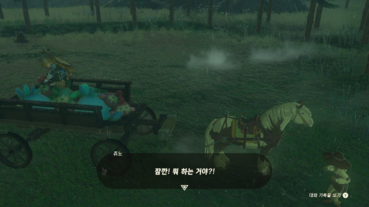 enviru_'s tweet image. #젤다의전설티어스오브더킹덤 #TearsOfTheKingdom #Zelda #NintendoSwitch