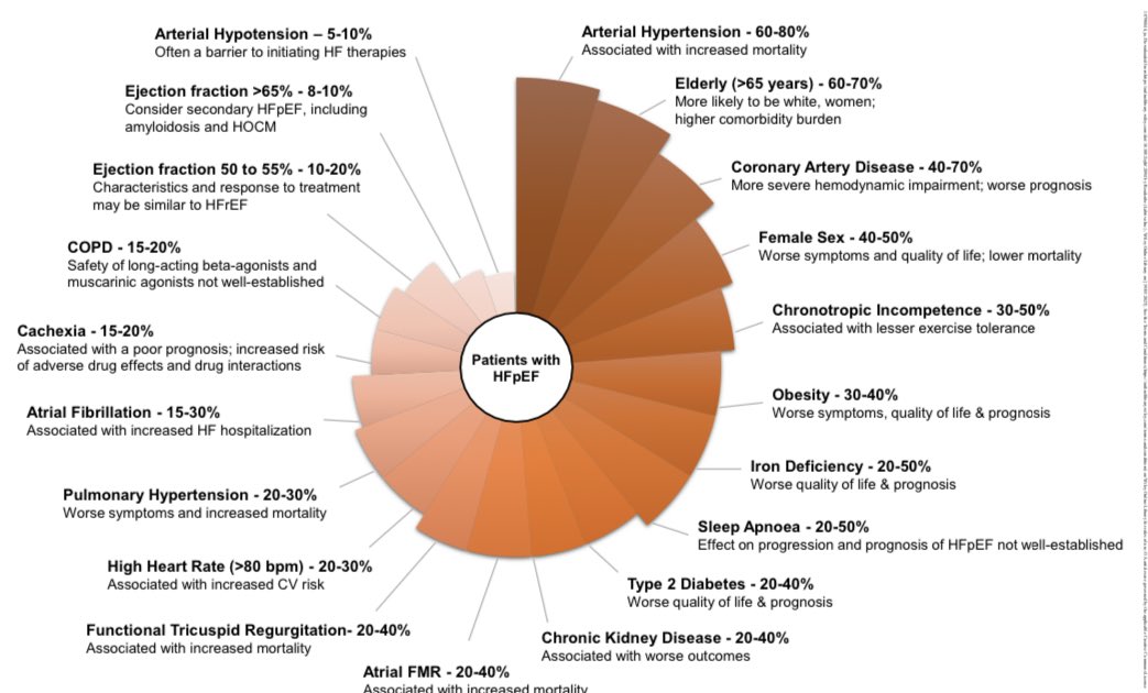 ValleAlfonso's tweet photo. 📝👥 Phenotype Profiling in #HFpEF
to Guide Therapeutic Decision Making

👉 phenotype-based approach for the treatment of HFpEF

👉efficacy of certain💊 can vary within subgroups of patients with HFpEF

👉I SGT2 ➕ diuretics as foundational therapies for patients with HFpEF

👉interventions are advisable based on sex, BMI, and the presence or absence of T2DM, hypertension, COPD, atrial fibrillation and CAD

📥 https://t.co/nzzBywRH3Y @escardio