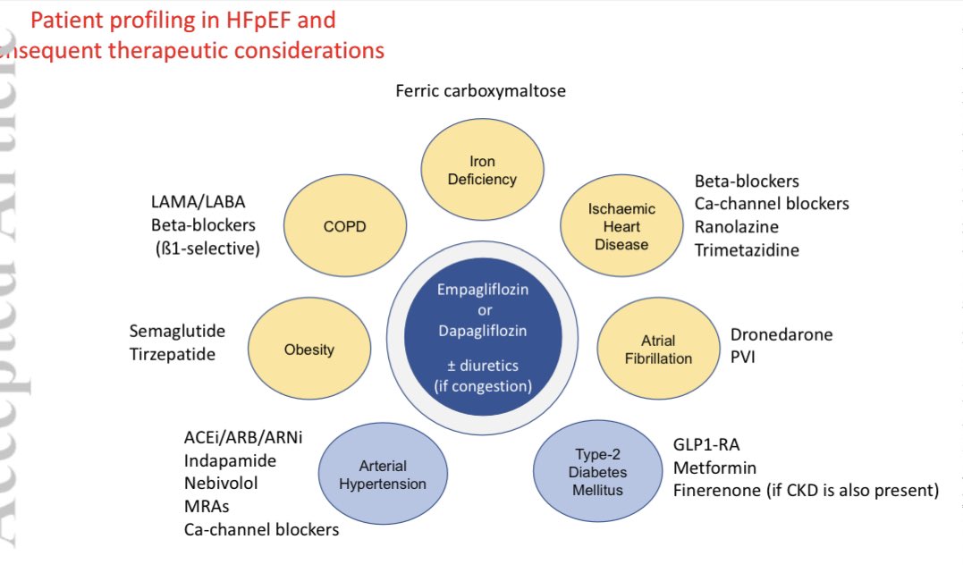 ValleAlfonso's tweet photo. 📝👥 Phenotype Profiling in #HFpEF
to Guide Therapeutic Decision Making

👉 phenotype-based approach for the treatment of HFpEF

👉efficacy of certain💊 can vary within subgroups of patients with HFpEF

👉I SGT2 ➕ diuretics as foundational therapies for patients with HFpEF

👉interventions are advisable based on sex, BMI, and the presence or absence of T2DM, hypertension, COPD, atrial fibrillation and CAD

📥 https://t.co/nzzBywRH3Y @escardio