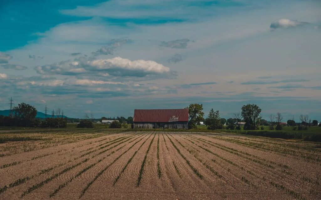 samuelmh's tweet photo. Just a farm on my commute to work
.
#rural #farm #commute #landscape #myfujifilmlegacy #sjsr #myfujifilmlegacy #fujifilm_ca https://t.co/38cf2IIV0L