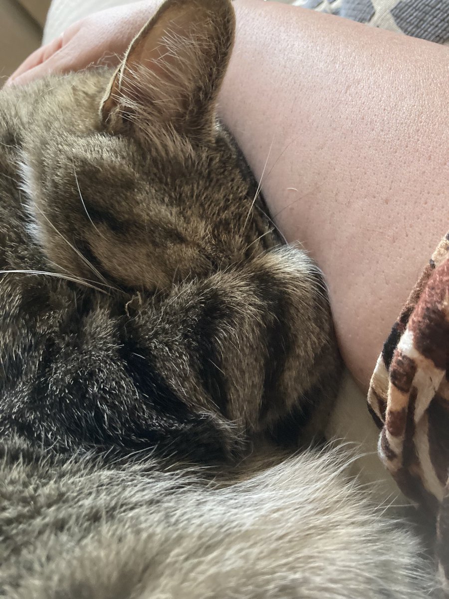 Mon p’tit cœur ♥️