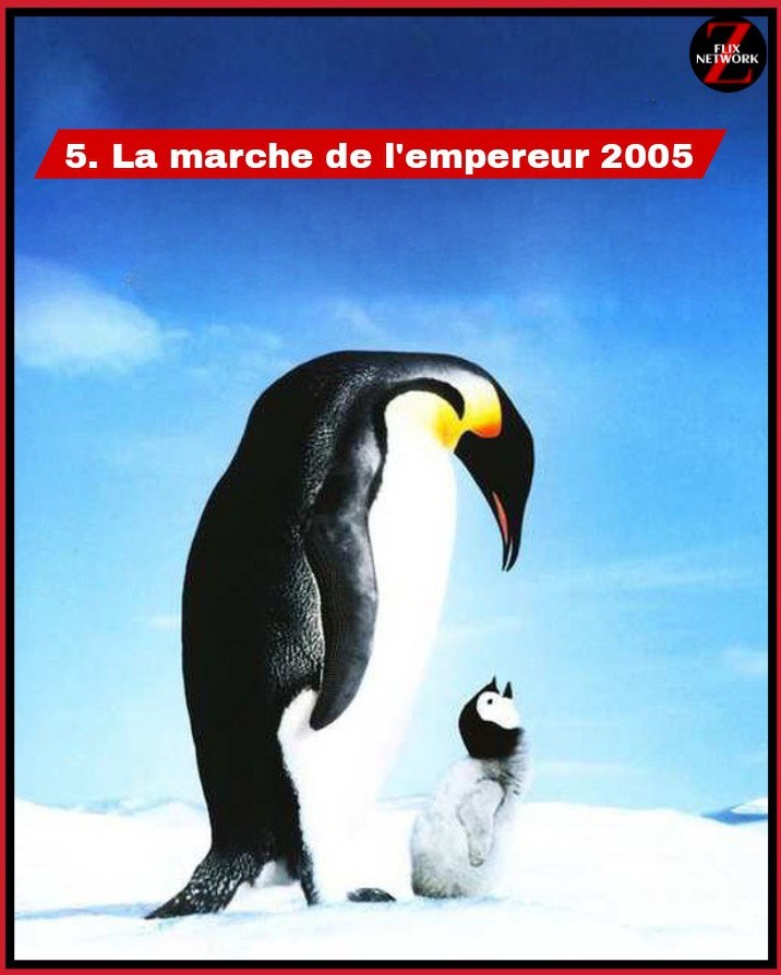 Embark on a remarkable journey with 'La marche de l'empereur' (2005) and witness the extraordinary lives of emperor penguins. 🐧❄️ #MarchOfThePenguins #NatureDocumentary
