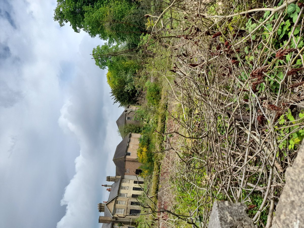 impactinvestin1's tweet image. Part of the problem with the U.K is building land being rolled just to try and make money without development.Empty for at least 
approx 20yrs. Is owned by foreign investors wanting, I am told wanting £6 million for land worth £2million.#emptyland #housing