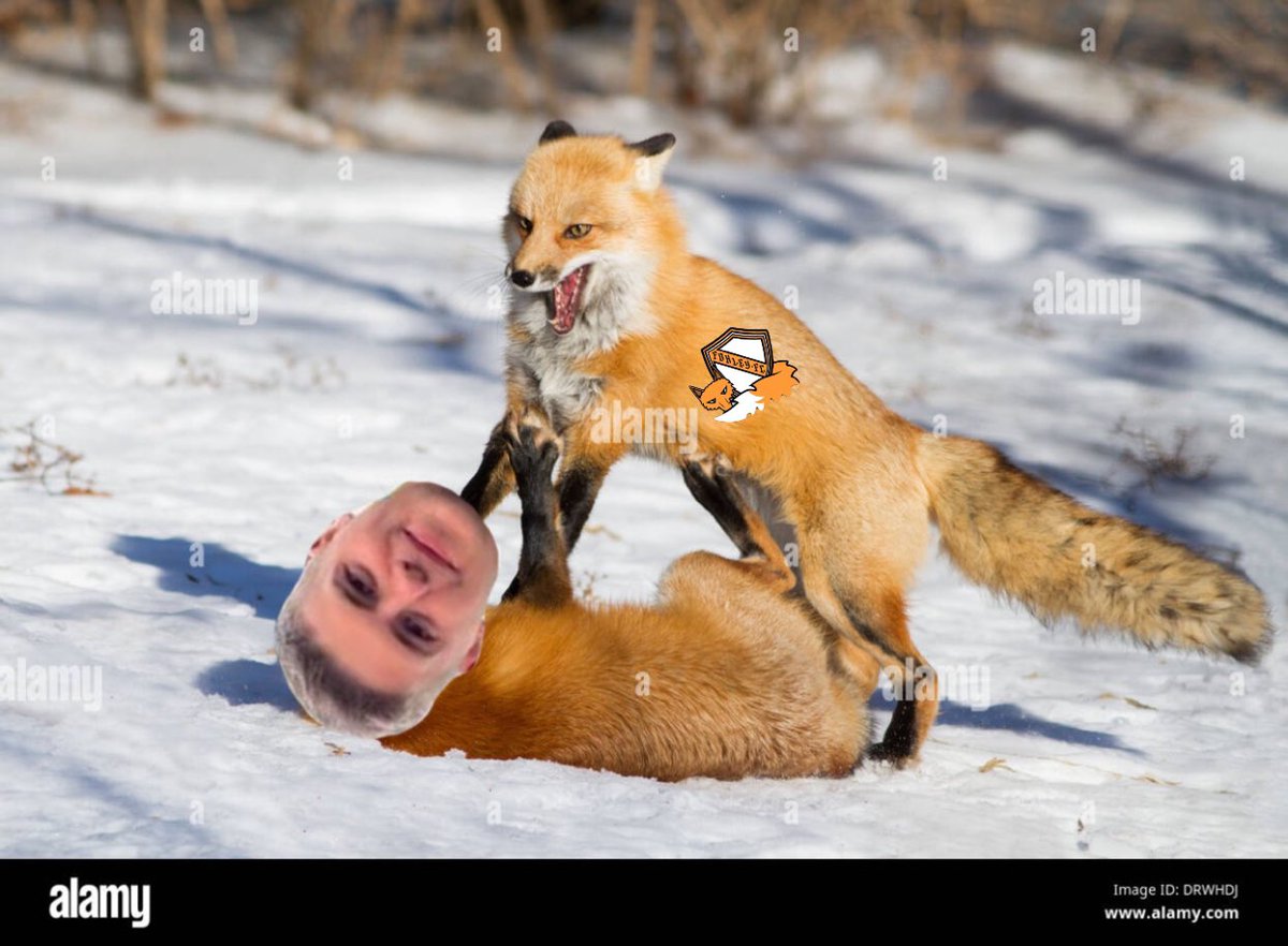 Also Golden I did tell you eyebrow slits didn’t make you hard… More broken noses this season than trophies in the past two #MauledByTheFoxes #WhatDidTheFoxSay #PopPopBang #SlugAndLettucesFinest