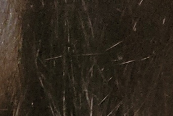 Heißes Date gefällig? Meine Freundin hat neue Fotos: big7.com/portal/account… #dating #girls