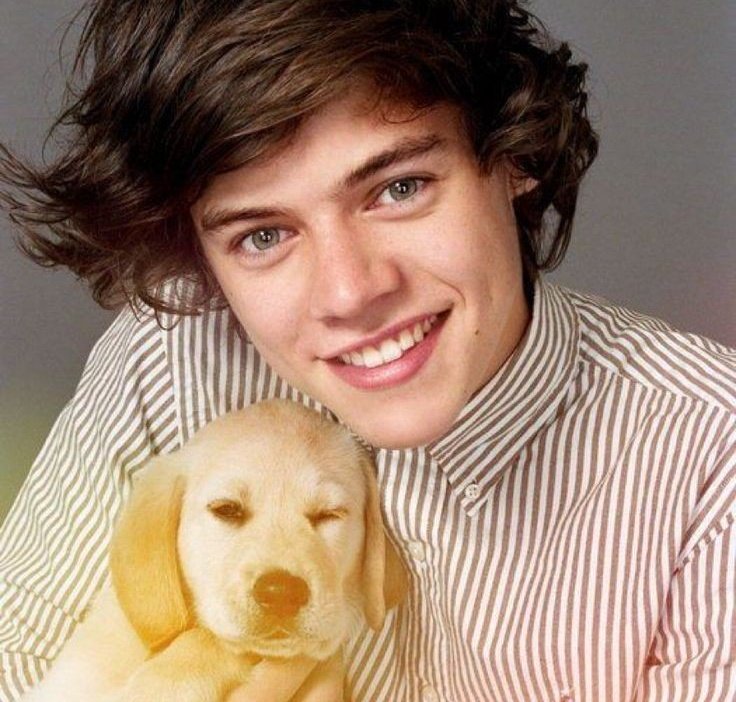 auronftharry's tweet photo. 🐶 https://t.co/C2DmR9sJ7x