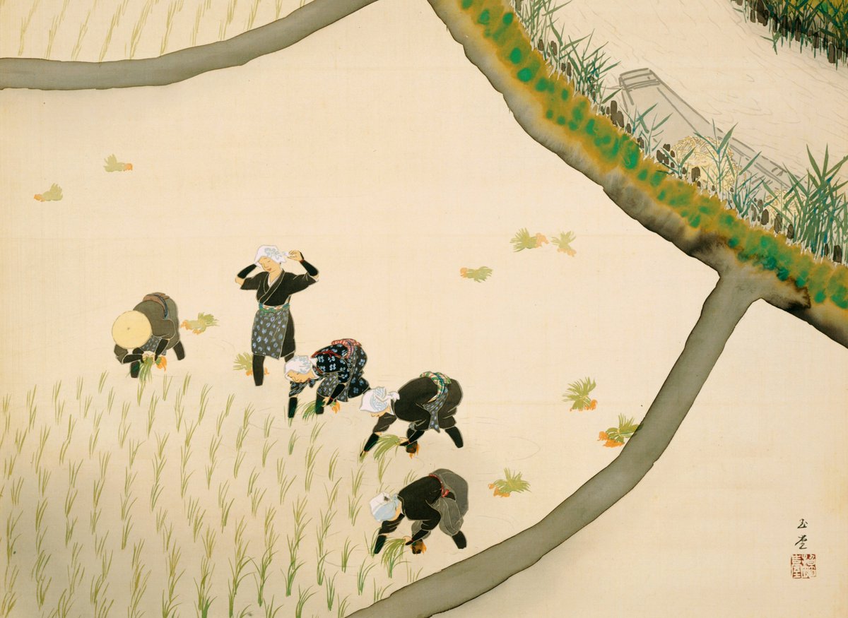 JaponStrasbourg's tweet photo. #Art 💮 | Au mois de mai commence au Japon la saison du repiquage du #riz ! 🌾🌦
Le #taue consiste à planter les jeunes pousses dans les rizières. Pratique essentielle, et autrefois extrêmement éreintante, elle est représentée dans la culture et les arts visuels japonais. 🖼 https://t.co/5jVqsl5a0G