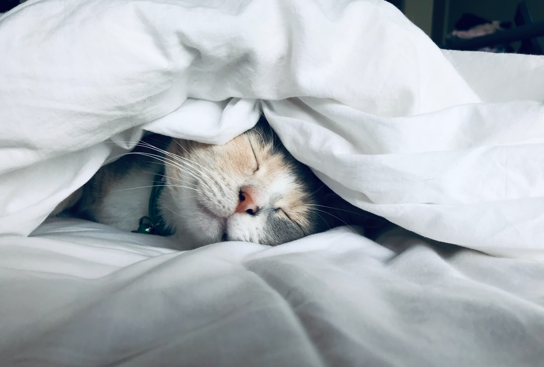 yourtruecourse's tweet photo. It's no surprise that how we sleep affects our mood. Sleep well, friend. 🌙 https://t.co/dYyO2mu7Us https://t.co/rr6aaU9BCE