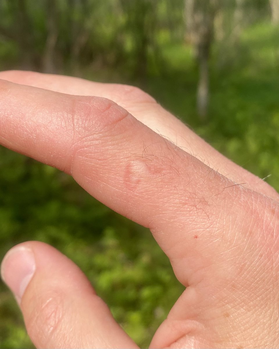 Dan Baldassarre tweet media