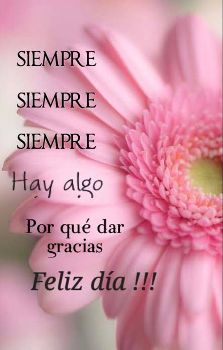 Tere Hdez. (@there226) on Twitter photo 