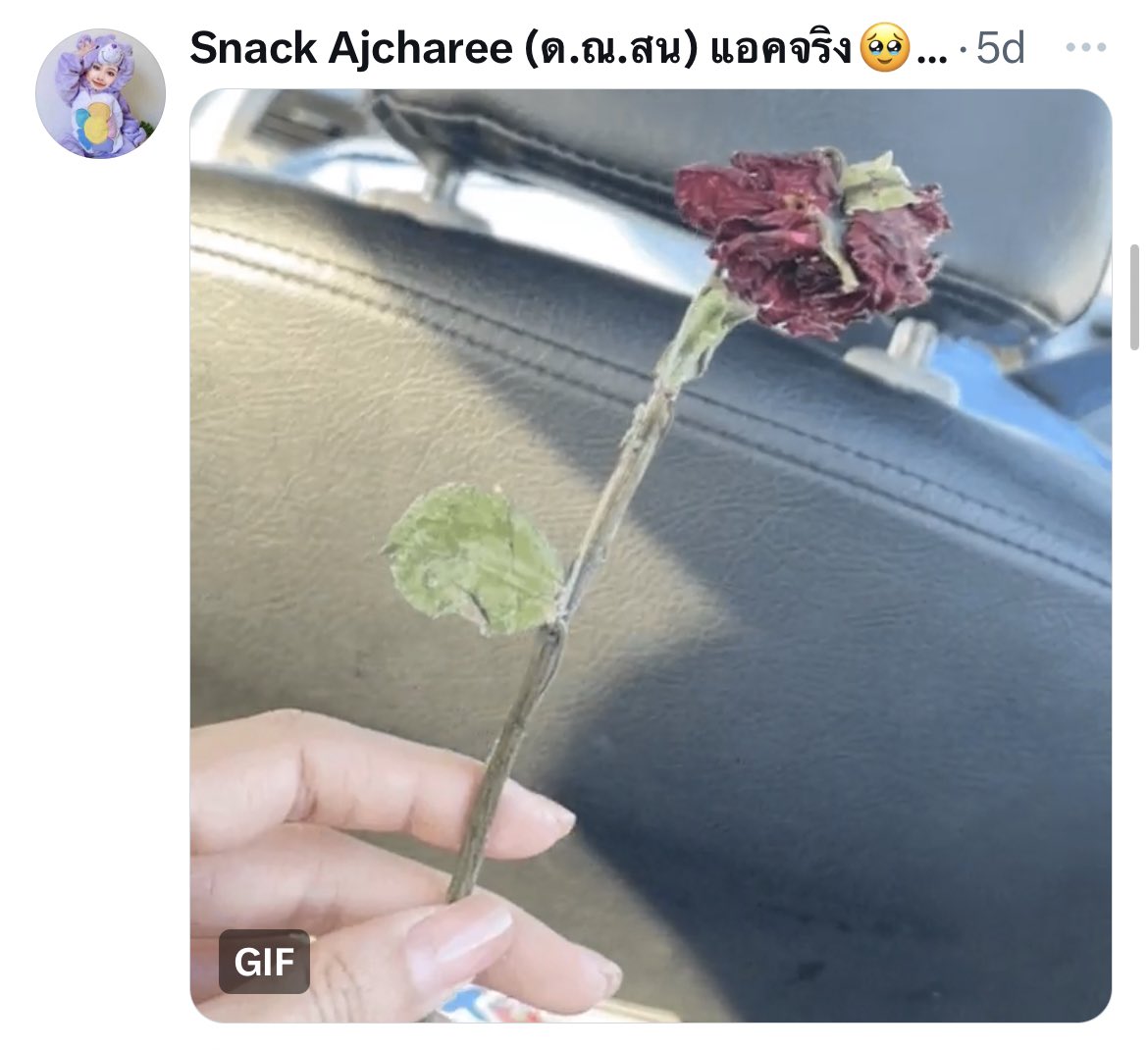 เห็นแล้วนึกถึงเพลงนี้เลยอ่ะ
"สิบสี่กุมภาวันวาเลนไทน์
ของขวัญจากใจฉันมอบแด่เธอ
จากใจดวงนี้ ที่มันละเมอ
คิดถึงเธอไม่มีวันลืม"
5555555555555555555
 #สแน็กอัจฉรีย์
#แน็กหลิว