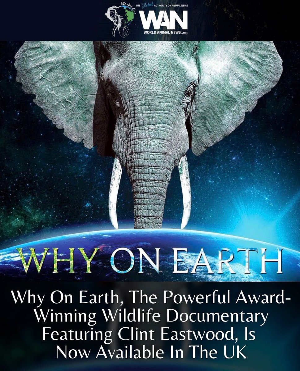 This powerful and important documentary which explores the vital connection between humans, animals and our planet, and which I’m very proud to have played a small part in, is now available in the UK &amp; Ireland on the Sky Store 🙏🏼💚