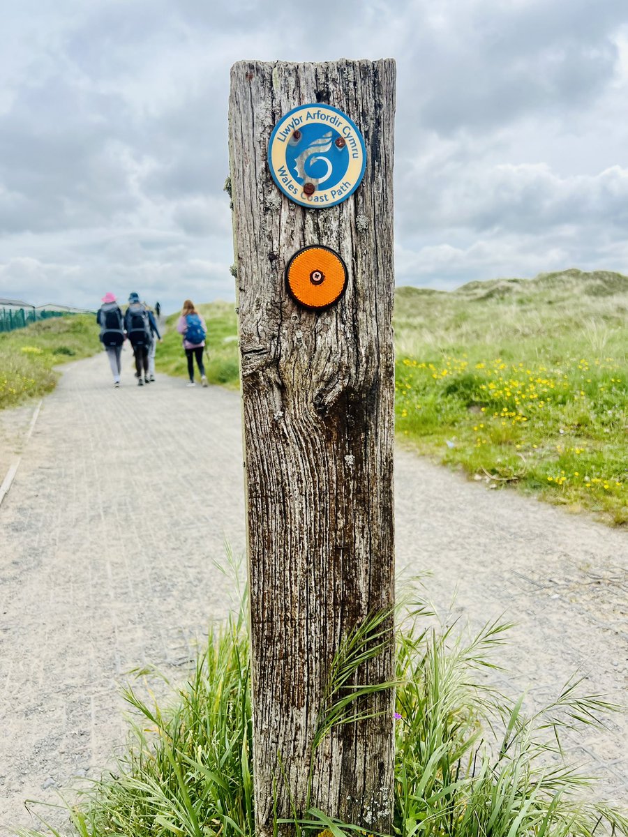 TANYA KNIGHT tweet media