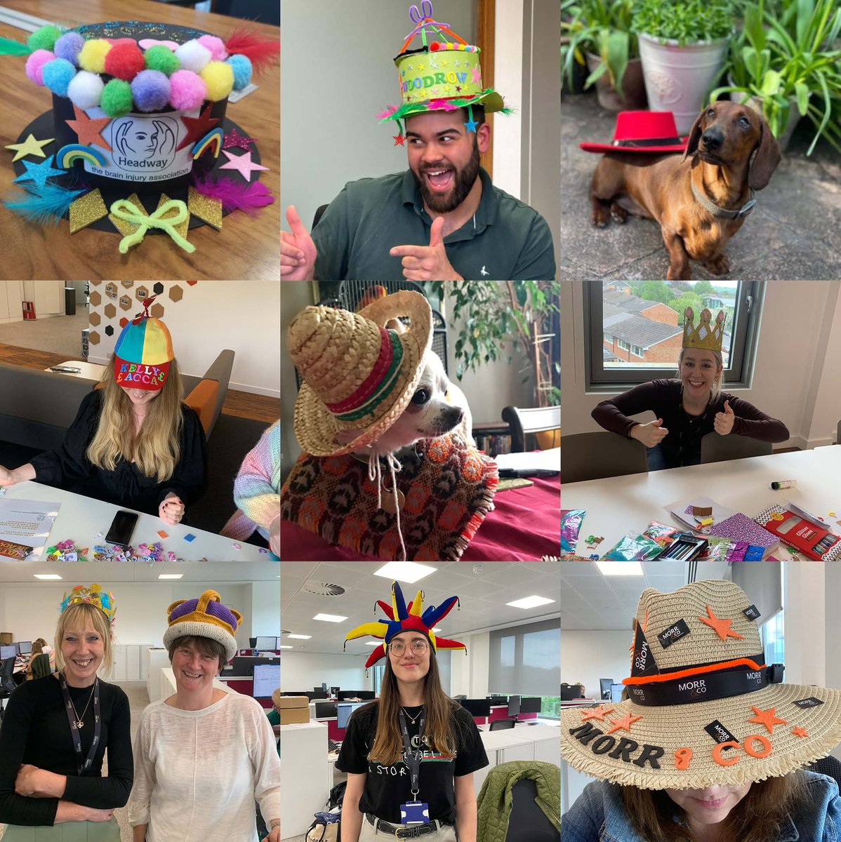 Morr & Co (@morrlaw) on Twitter photo This week is Action for Brain Injury Week (ABI) and to raise awareness we have held various events to raise vital funds for the important support and information services provided by <a href="/HeadwayUK/">Headway - the brain injury association</a>. Our teams (& their pets!) have been wearing their hats today for #HatsForHeadway This week is Action for Brain Injury Week (ABI) and to raise awareness we have held various events to raise vital funds for the important support and information services provided by <a href="/HeadwayUK/">Headway - the brain injury association</a>. Our teams (& their pets!) have been wearing their hats today for #HatsForHeadway