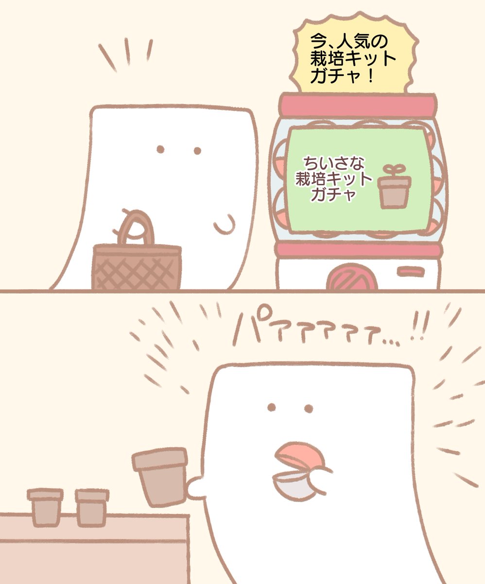もめんとミニ栽培キット #みなとやすずニコマンガ