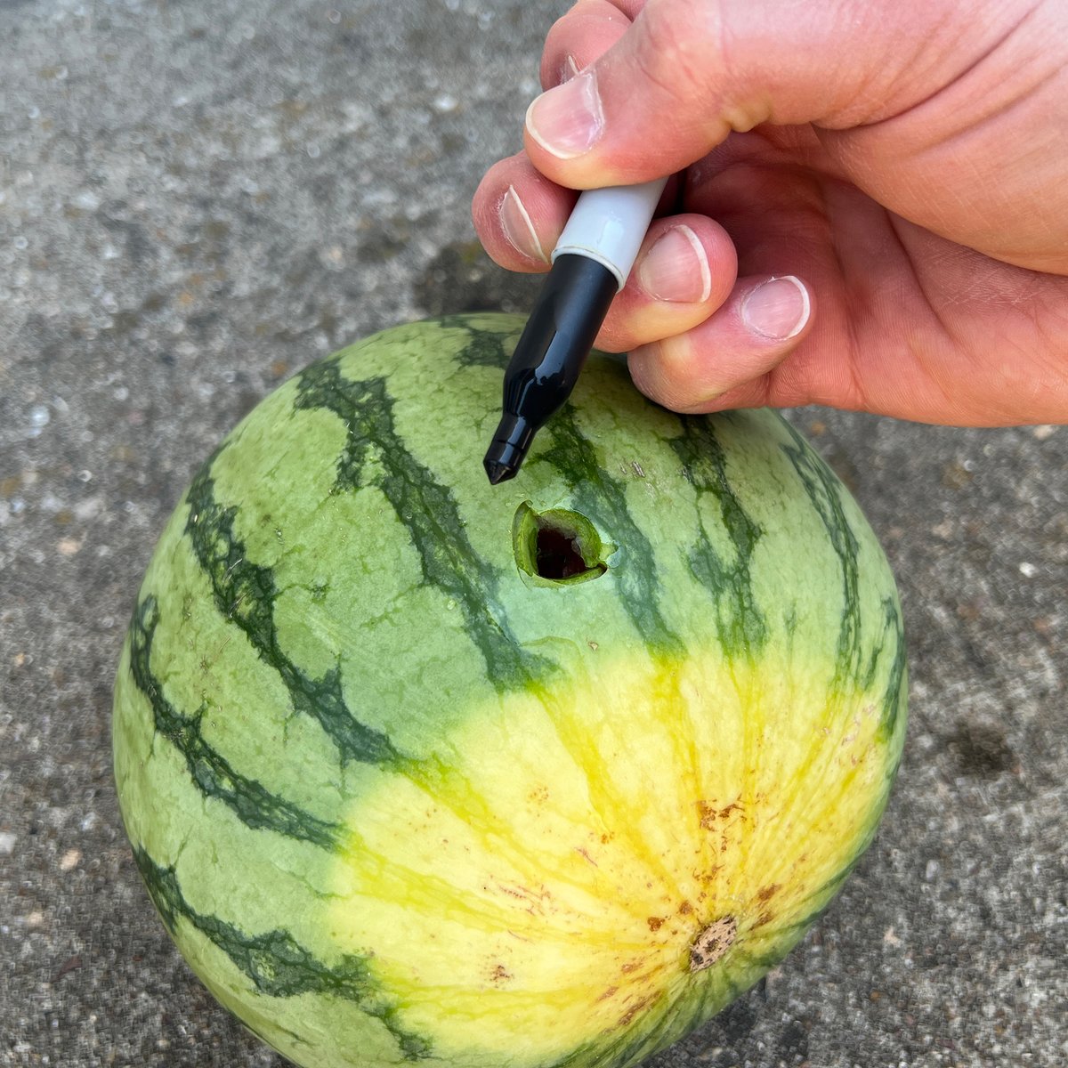 ITS Tactical tweet media