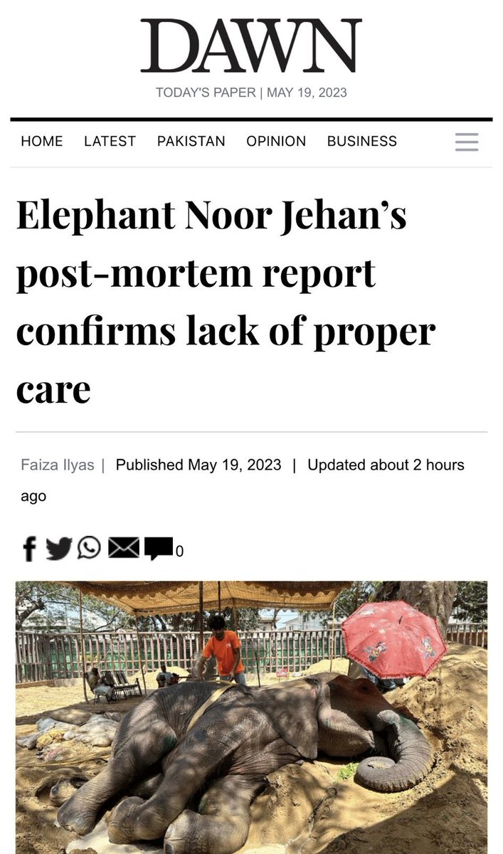 SuhailBinAziz's tweet photo. Now when negligence on the part of #KarachiZoo is proved, strict action needs to be taken against the responsible persons. We wish agony of #NoorJehan is the last such case in #Pakistan. Change of mindset is a must. @BBhuttoZardari @SalmanSufi7 https://t.co/1gq1WIxeZY