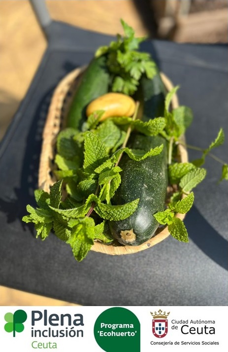 🍀 Continúan las distintas labores en el ‘Ecohuerto’, que sigue dando frutos