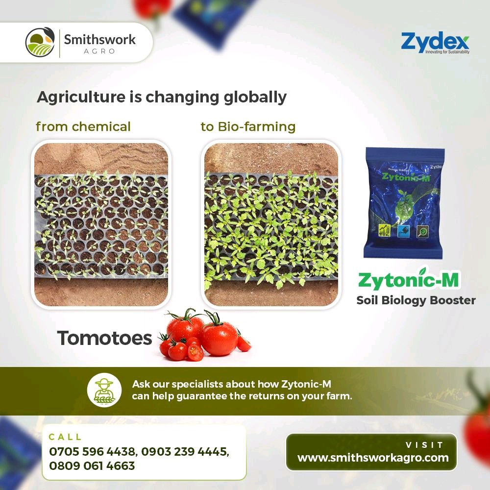 To enhance productivity and profitability in the wake of climate change, Farmers must incorporate soil conditioner to maintain and boost fertility.

Zytoníc-M has been tested on grains, legumes, fruits and vegetables by Farmers in Africa 🌍 to deliver higher yield.

Order Today!!