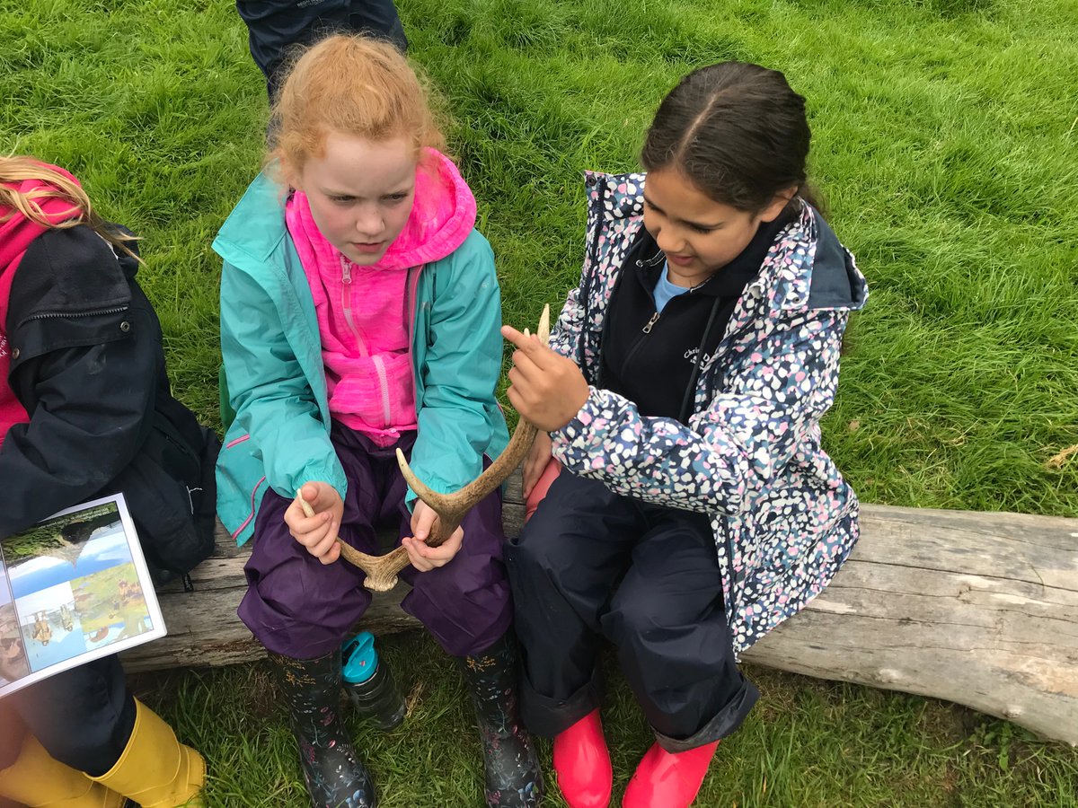 WPS_Trips's tweet photo. Y4 Naturesbase Group 2

A morning spent learning survival skills - Bronze Age style! #history #inquiry #curiosity https://t.co/apgH8yvVbX