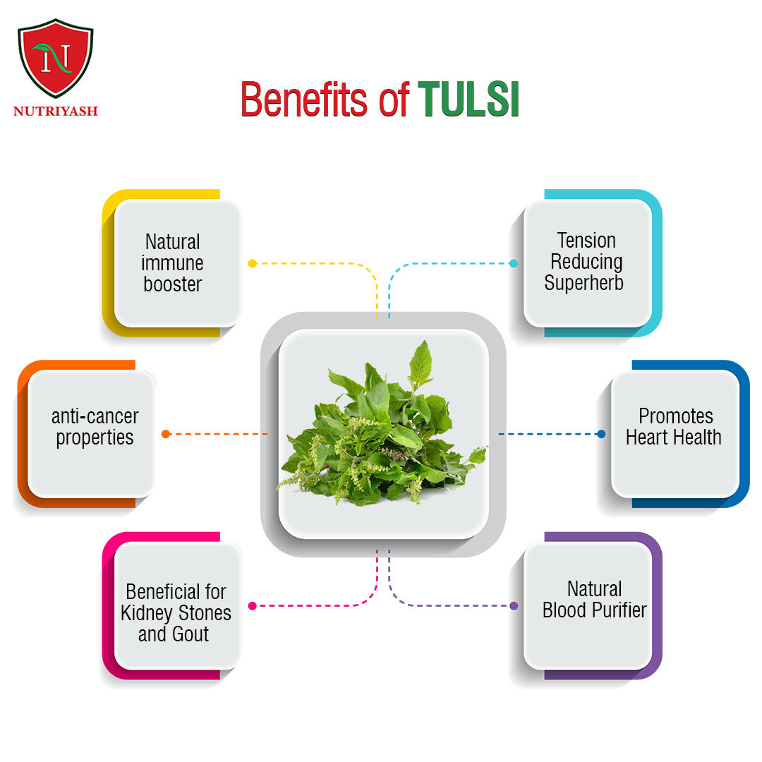 nutriyash21's tweet photo. Benefits of Tulsi..
.
.
.
#tulsi #greentea, #greentealover, #greenteaprobiotics, #probiotics, #healthylifestyle, #healthydrink, #detoxifying, #nourishing, #antioxidants, #rejuvenating https://t.co/XwwdNHMPpW