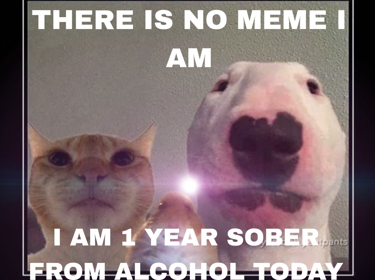 We Are Ed tweet media