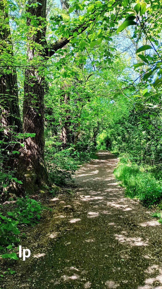 LauraPapa18's tweet photo. ......🚶🚶🚶🚶 Walking 💚💚 https://t.co/3CIybVvIh1