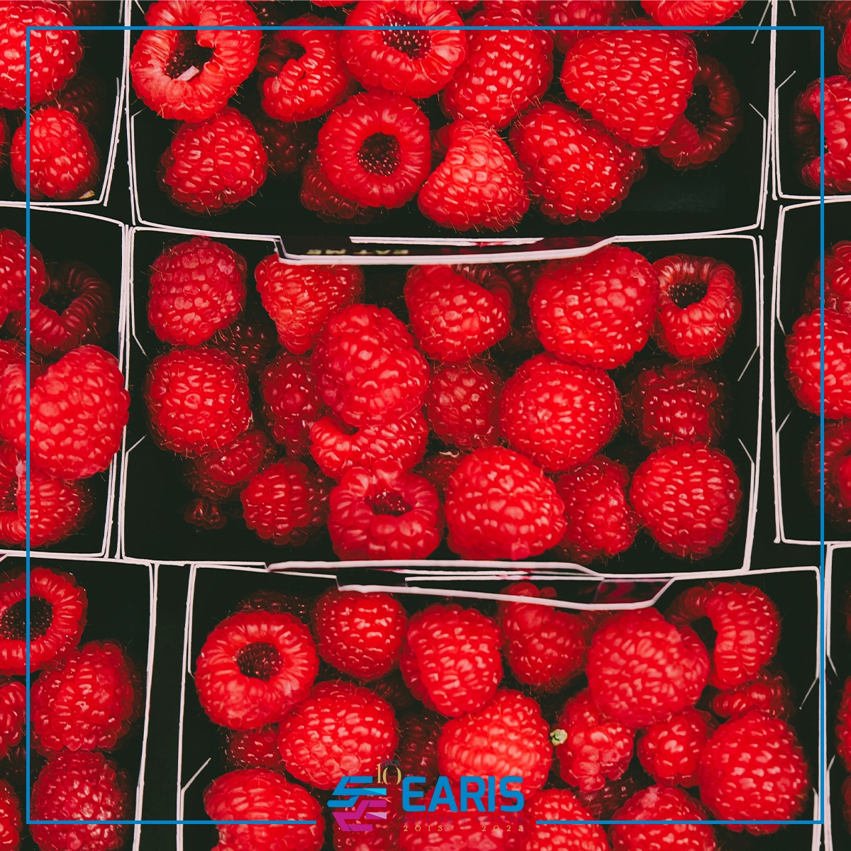 earis_packing's tweet photo. Todos nuestros equipos están dotados con la más alta tecnología, consiguiendo un trato de producto exquisito y muy alta productividad para tu negocio🔝

El retorno de inversión está asegurado🔃

#automatización #etiquetado #envasado #granel #berries #frambuesas #earis #spain https://t.co/qaPzJWcvzj