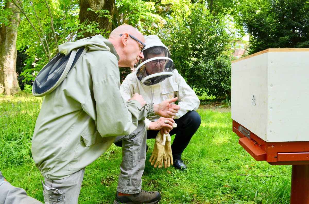 Erzbistum_Koeln's tweet photo. 🐝 +++ Es summt und brummt im Erzbischöflichen Garten +++ 🐝

Der Bienenstock im Garten von Kardinal #Woelki strahlt "auf mich eine meditative Ruhe aus“, erzählt der Kardinal. Pünktlich zum #TagderBiene wurden die Bestände kontrolliert. 🐝

#Bienen #Koeln https://t.co/4fRj7ZzWDh