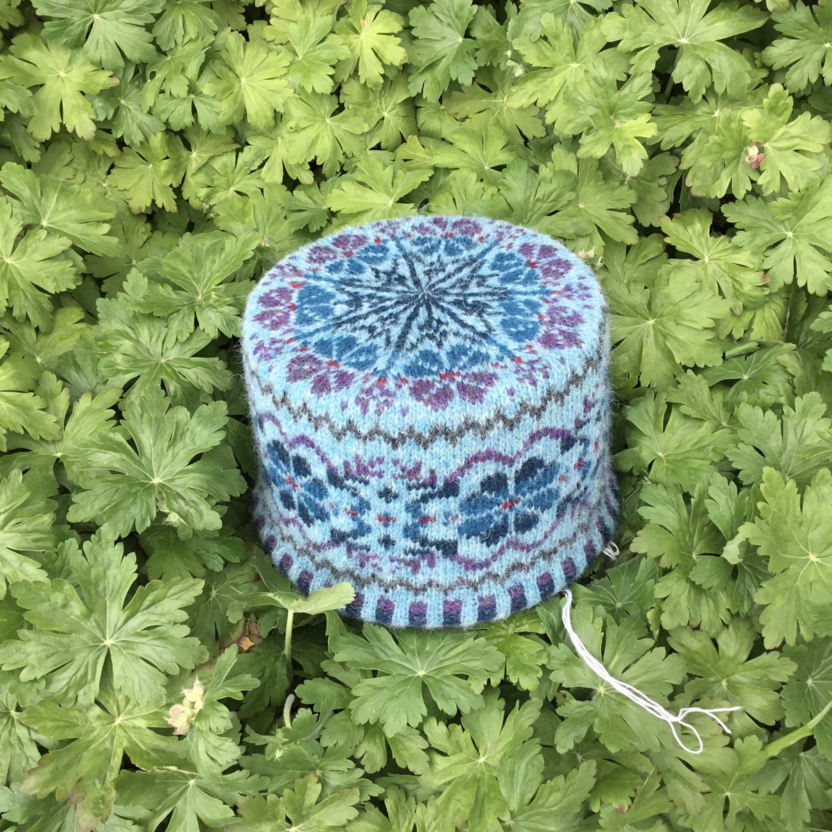 HazelTindall's tweet photo. @UKHKA Buggiflooer Beanie drying over a food container. Free pattern, designed by Alison Rendall, Shetland Wool Week patron for 2023. #ShetlandWoolWk #buggiflooerbeanie https://t.co/L6NjZUr5tn