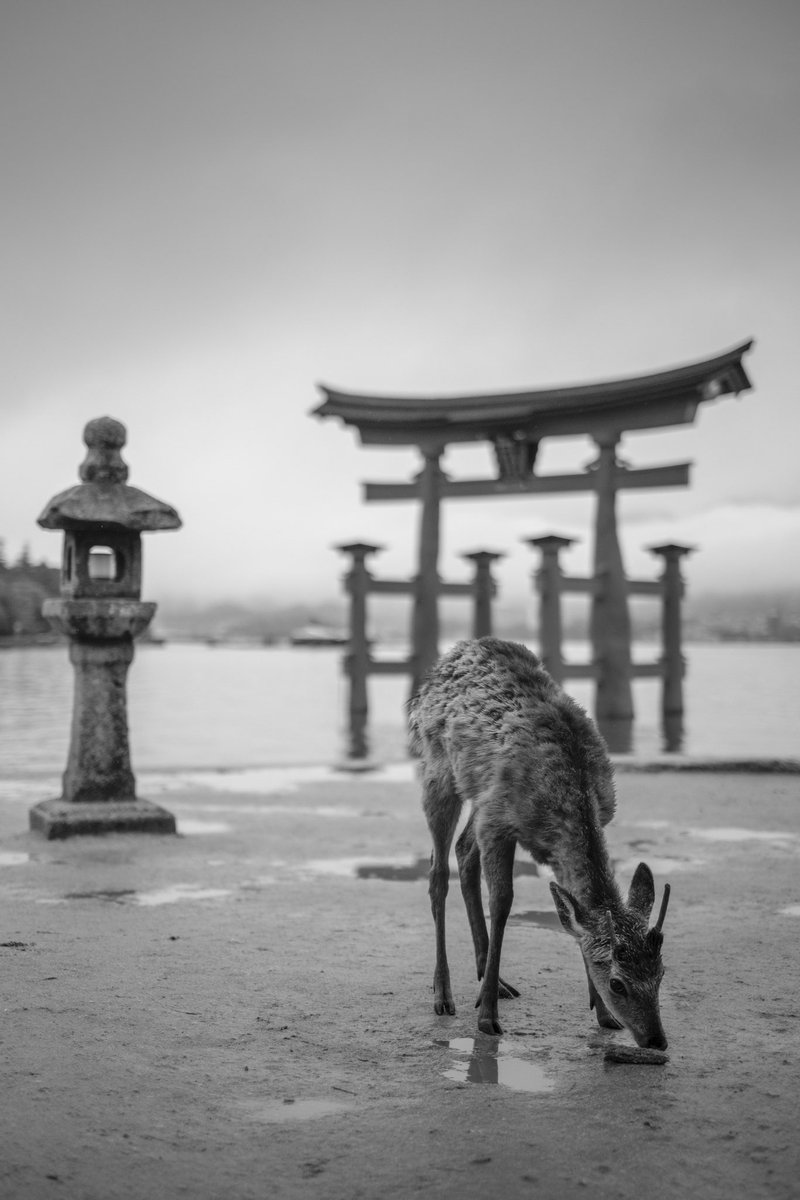 Michael Cockerham tweet media