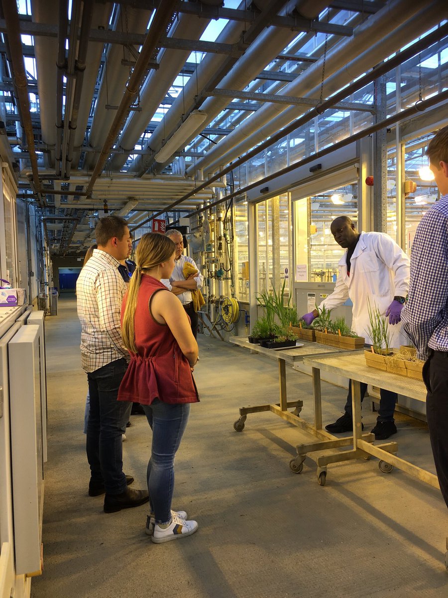 dines_louisa's tweet photo. Fascinating visit to @SyngentaUK Jealotts Hill for final year students @HarperAdamsUni bringing the development of new crop protection products and new varieties to life with excellent demonstrations. Thank you to @westerncropkid and colleagues for organising and hosting us. https://t.co/7HyEiAn8Fr