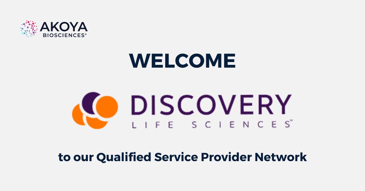 AkoyaBio's tweet photo. 🎉 Welcome #DiscoveryLifeSciences (@discls) to our Qualified Service Provider Network! Discovery will gain access to our #PhenoImagerHT workflows to help them better serve its clients in #immunooncology. https://t.co/lNd7mEfyJ7

#biopharma #multiplex #drugdevelopment https://t.co/Ib1fzpc5wH
