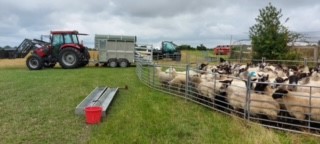 FarmersOfTheUK's tweet photo. This was a long process, with patience, professionalism, determination & we finally did it, throughout @MDS_Updates, where a lot of skills came to light. I was working hard for my career & business/home #WorkHard #HardWorkPaysOff #Determination #Enterprise #SmallBusiness #Farm247 https://t.co/WncuHAq68v
