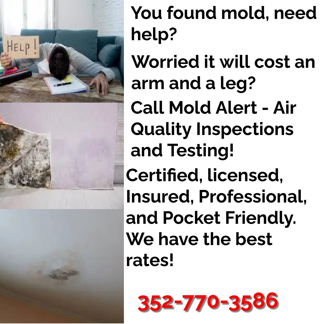 MoldAlertFL's tweet image. Let us help you. Call today to schedule your appointment!