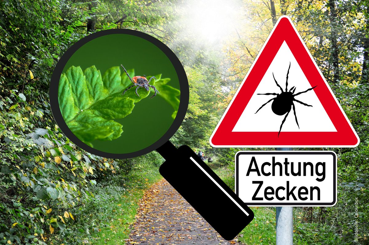 BUW-Chemistry&Biology tweet media