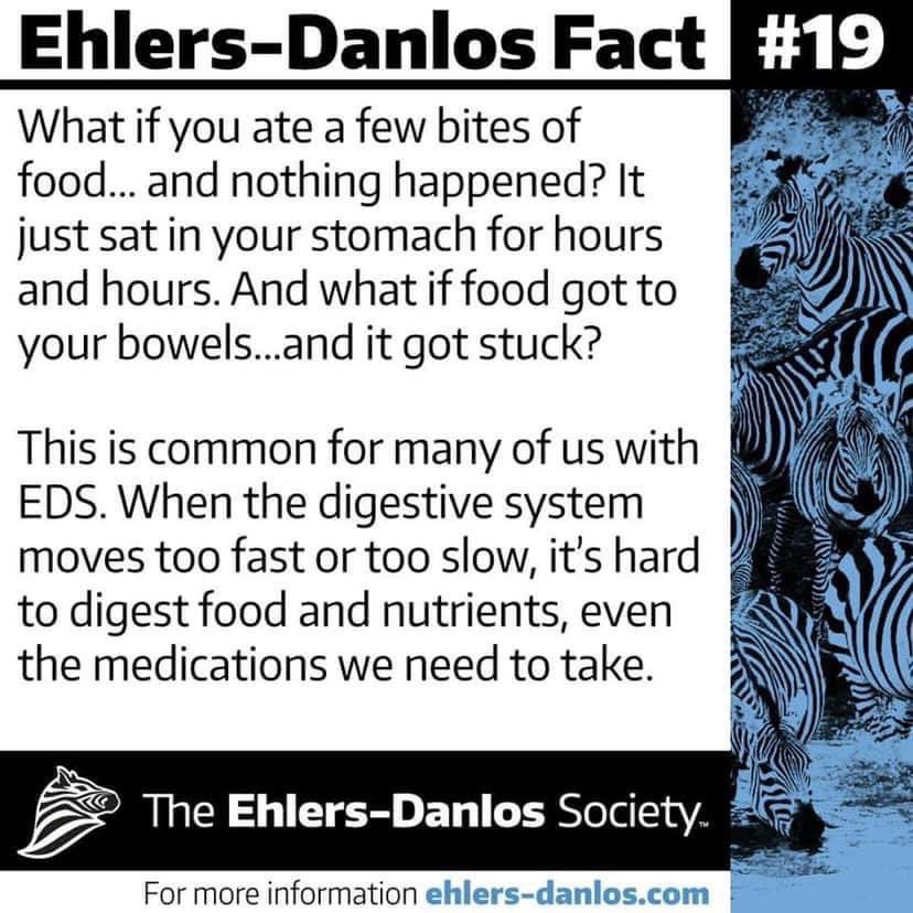 ElizaJ_bunnies's tweet photo. Ehlers-Danlos Awareness Month - Day 19 🦓
#EDS #EDSAwareness #EDSAwarenessMonth #Headache #EhlersDanlosSyndrome #Hypermobility #POTS #MCAS #Disability #ChiariMalformation #JointDamage
#IntercranialHypertension #Dysautonomia
#Digestion #Dislocations #Subluxation #TetheredCord https://t.co/zjSUl3VUhN