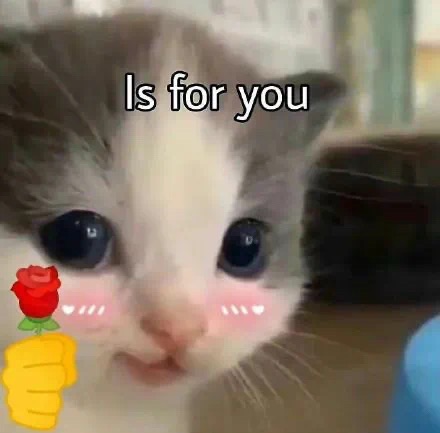 59ceres's tweet photo. @Mizumoe_ 灰猫猫真的超可爱 https://t.co/5huCKmbyUo
