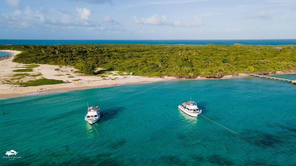 Dive o'clock PRO tweet media