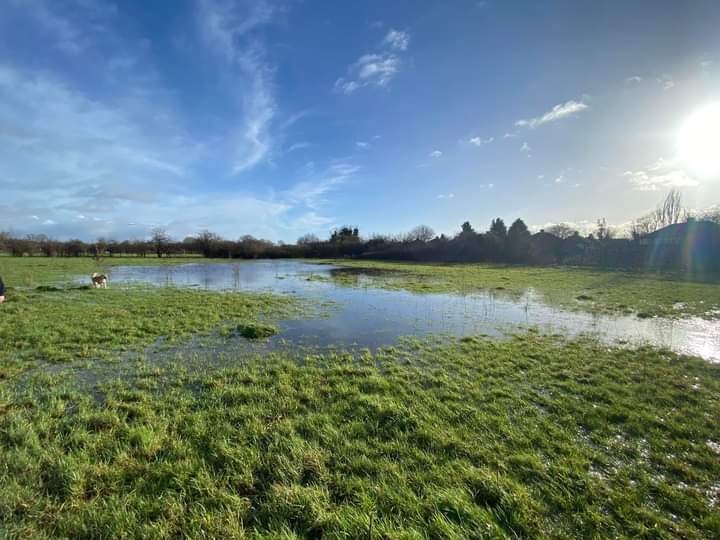 rosemc20's tweet photo. @DanicaPriest @SaveUrGreenbelt @Catherinewith11 @RosieP4 @CommunityPlann1 @OurWestgate @SmartGrowthUK @ExplorerDale @stellastafford @CPRE @CPREAvonBristol London's Green Belt is very special, Hatton Fields, being close to Heathrow is an important green lung for thousands wholive in the area  @Keir_Starmer  @LBofHounslow @HattonFriends https://t.co/9W5L9FzAIf