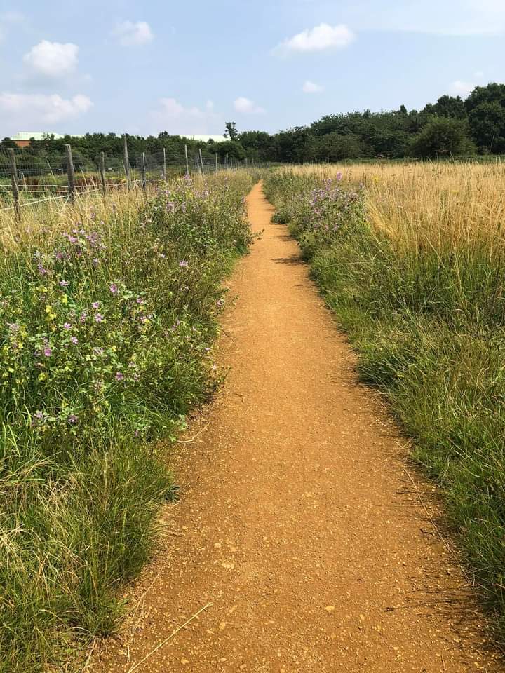 rosemc20's tweet photo. @DanicaPriest @SaveUrGreenbelt @Catherinewith11 @RosieP4 @CommunityPlann1 @OurWestgate @SmartGrowthUK @ExplorerDale @stellastafford @CPRE @CPREAvonBristol London's Green Belt is very special, Hatton Fields, being close to Heathrow is an important green lung for thousands wholive in the area  @Keir_Starmer  @LBofHounslow @HattonFriends https://t.co/9W5L9FzAIf
