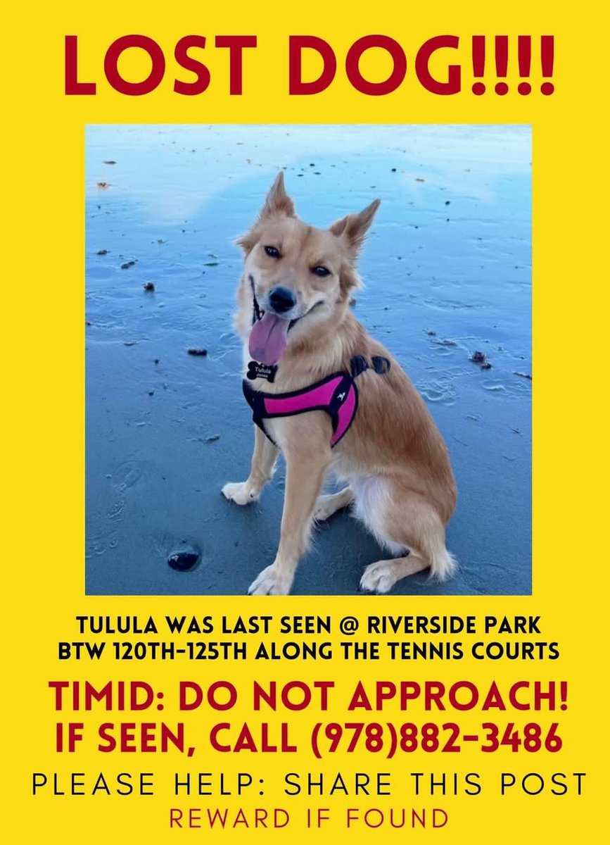 SarahLemmler's tweet photo. Calling all NYC people!! Please keep an eye out! https://t.co/EaCLRc7BMH